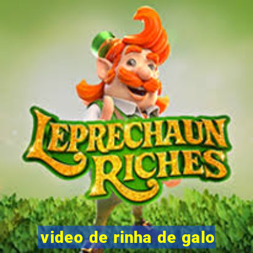 video de rinha de galo